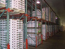 Cold Storage System 1 Cold Storage Application