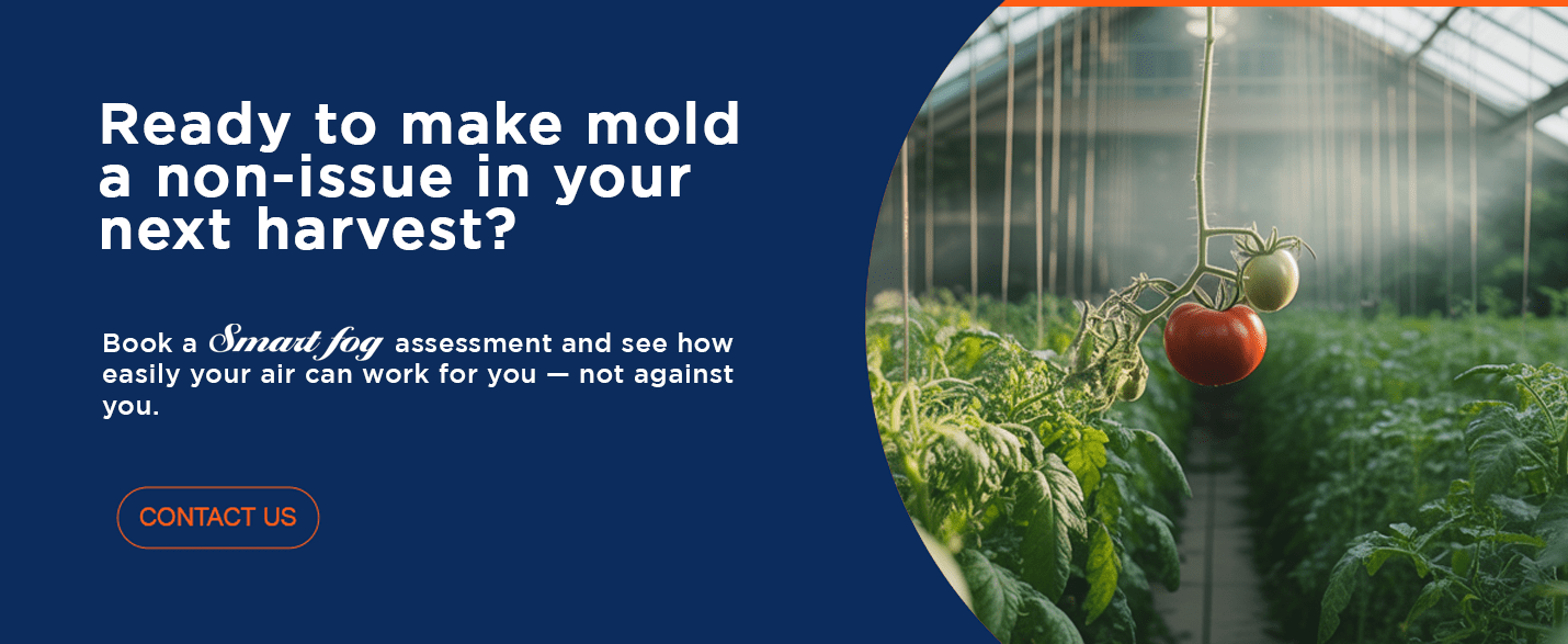 Book a Smart Fog assessment and see how easily your air can work for you — not against you.
