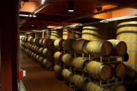 Wine Cellar Humidity