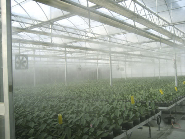 fogging system 1497343119 3060992