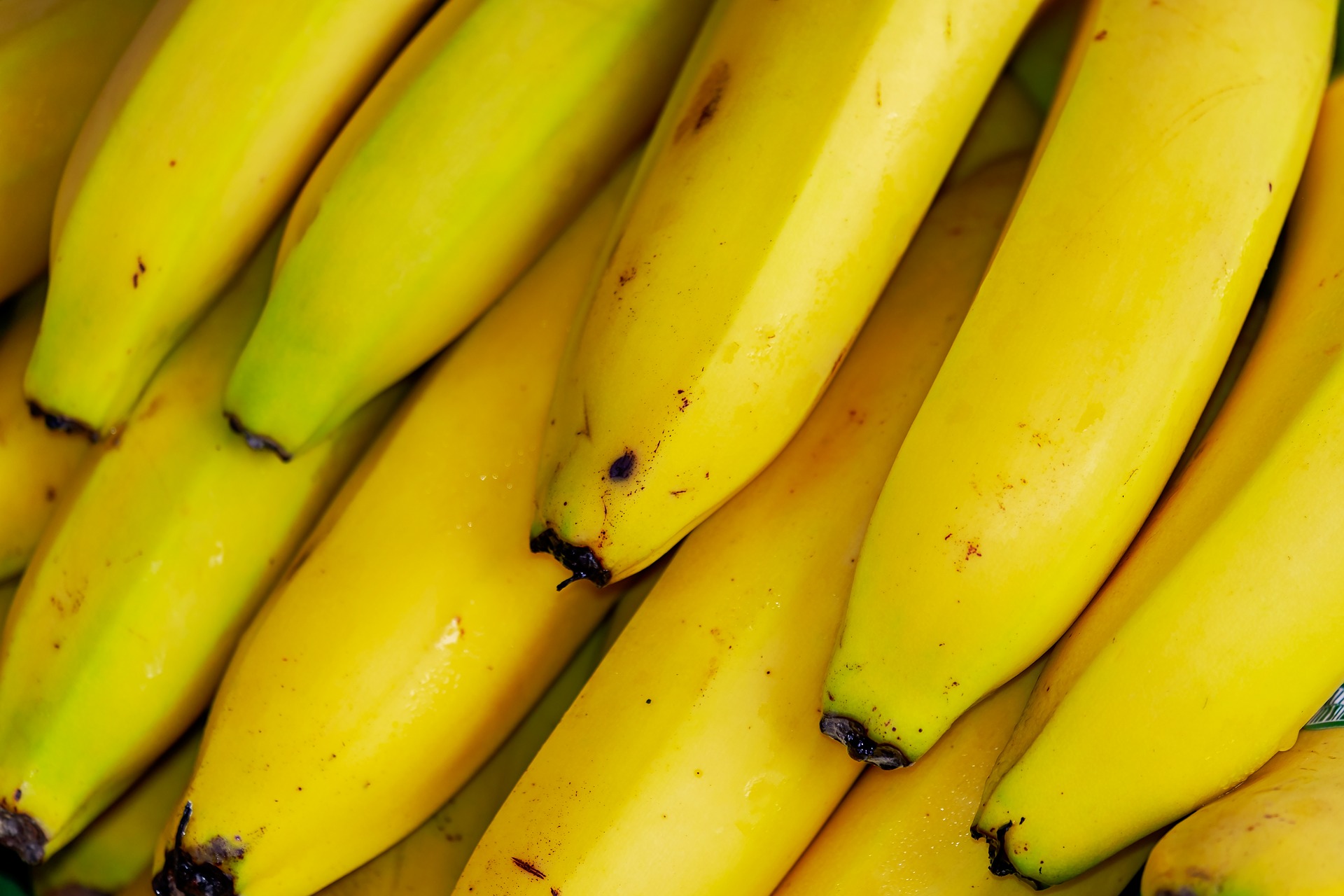 Insights Blog 1 Fresh yellow bananas stacked together