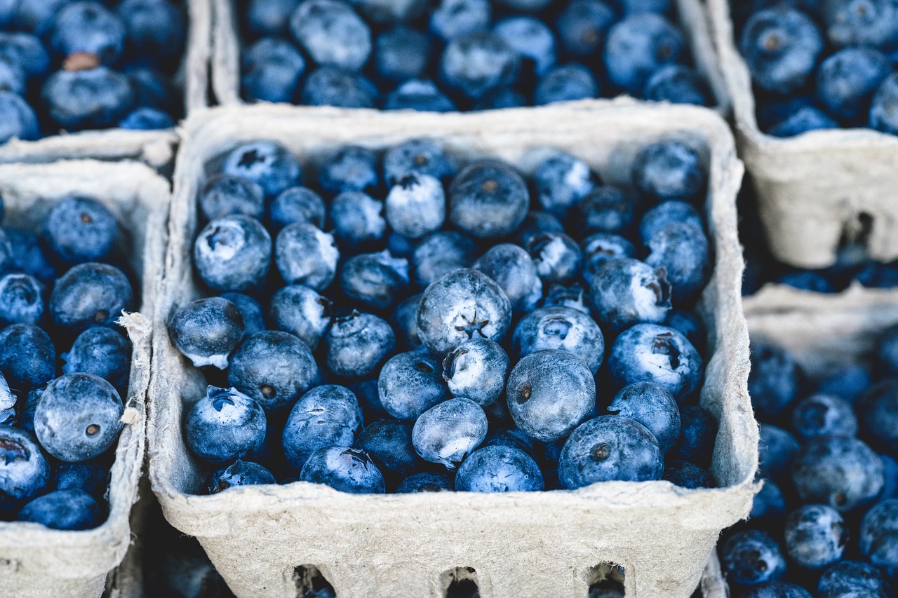 Insights Blog 2 Fresh blueberries in a container