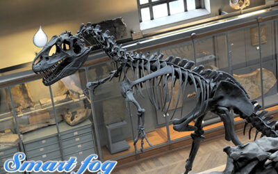 3 Reasons Why Museums Should Have Commercial Humidifiers
