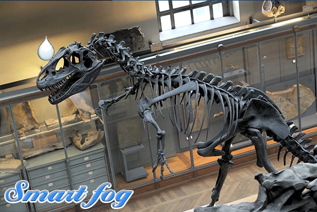 3 Reasons Why Museums Should Have Commercial Humidifiers