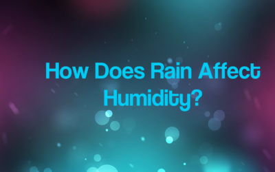 How Rain and Humidity Are Connected