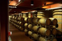 Why Climate Control Is Important In Wine Cellars