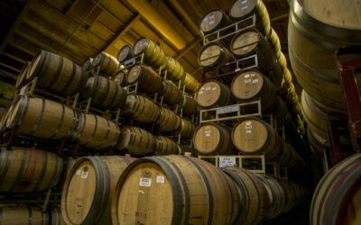 Four Reasons Your Winery Barrel and Storage Rooms Need a Humidification System