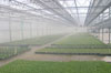Greenhouse Humidity Application