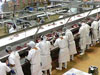 Food Sanitation Application