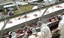 foodsanitation
