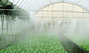 greenhouse