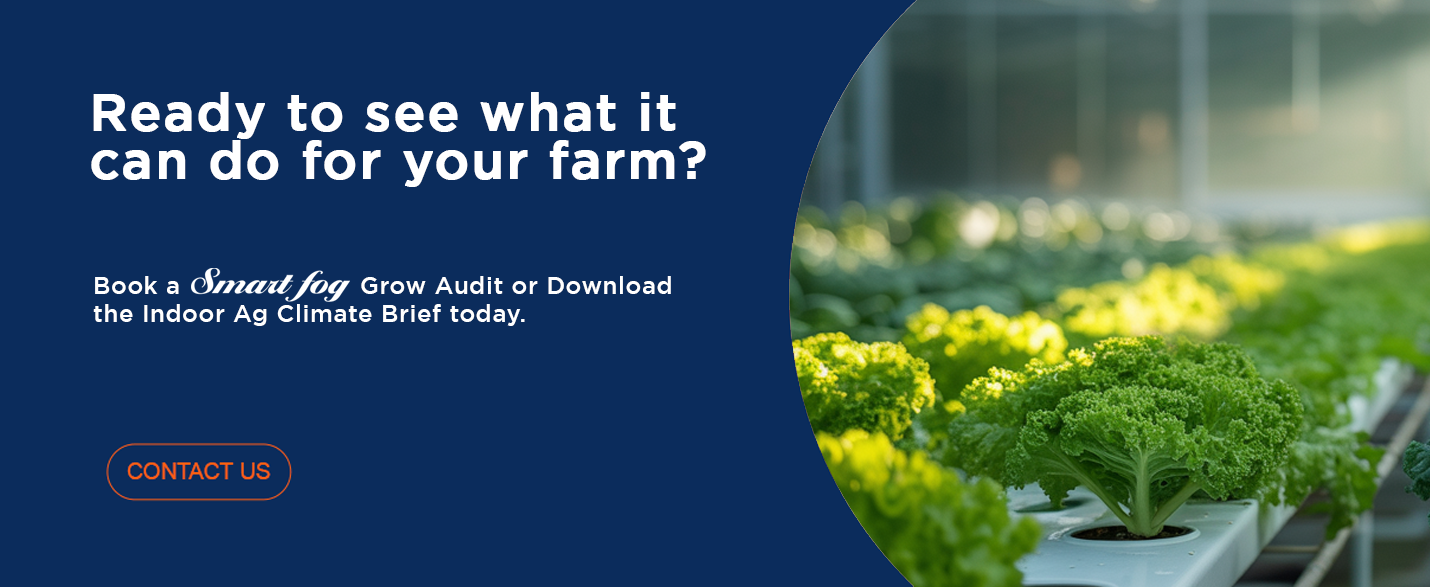 Indoor Agriculture Humidity Control: The Secret to Healthier Crops, Higher Yields, and Zero Mold Problems