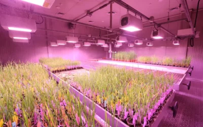 How to Control Humidity: Methods, Systems, and Technology Compared