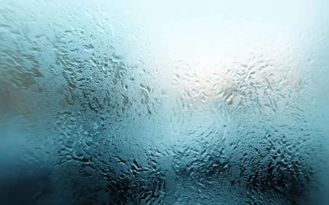Absolute Humidity vs Relative Humidity: What’s the Difference?