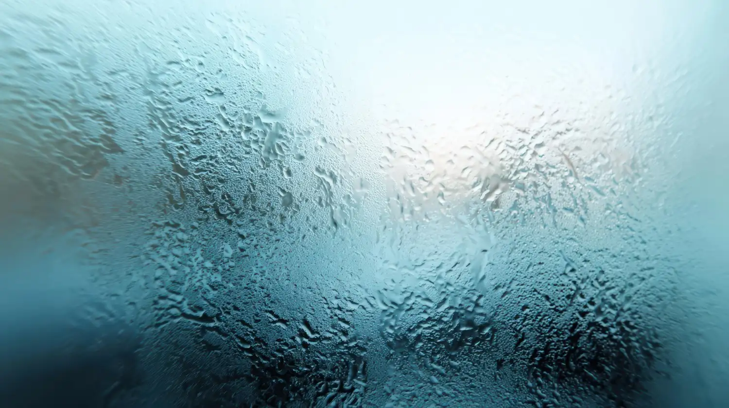 Absolute Humidity vs Relative Humidity: What's the Difference?