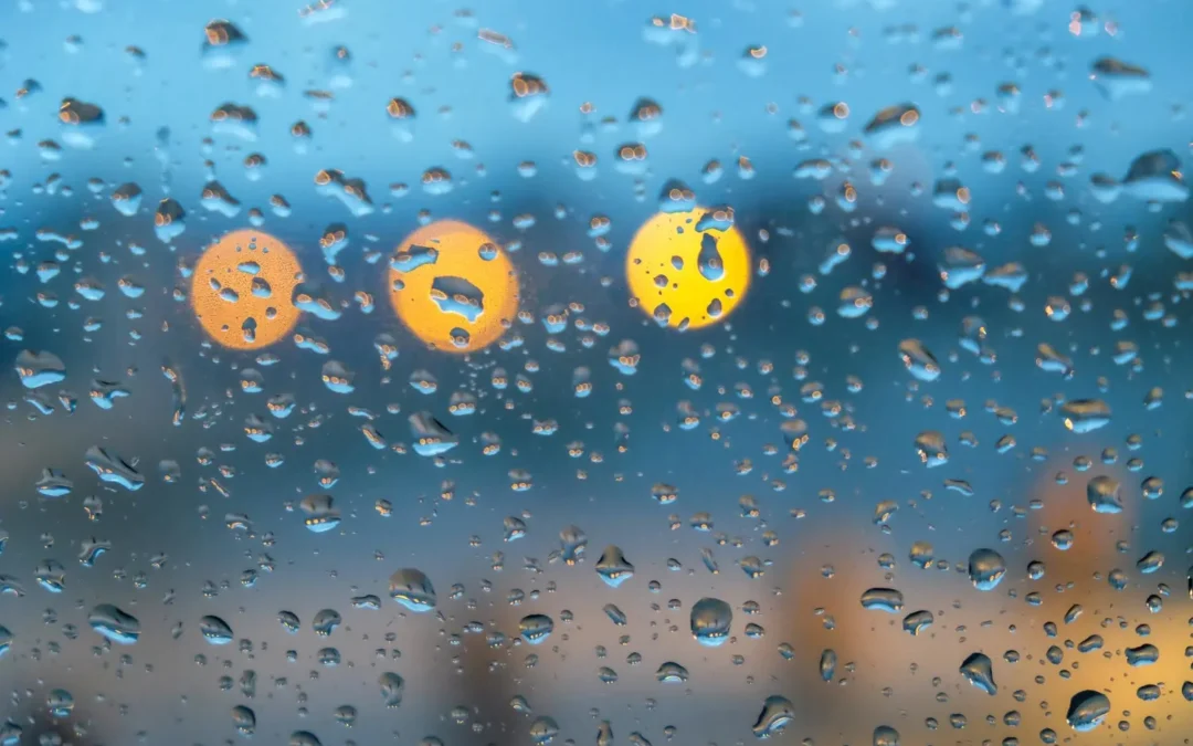 Does Humidity Rise or Fall? How Moisture Moves Through the Air