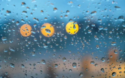 Does Humidity Rise or Fall? How Moisture Moves Through the Air