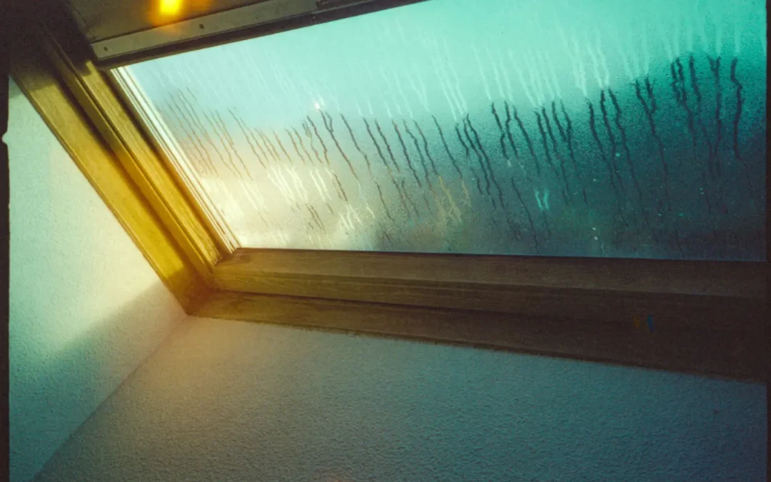 Grow Room Humidity: Stage-by-Stage Guide