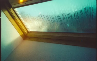 Grow Room Humidity: Stage-by-Stage Guide