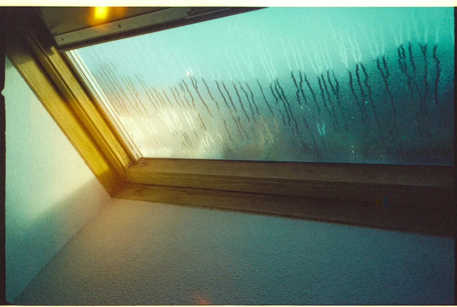 Condensation on window glass showing high humidity and excess moisture buildup indoors.