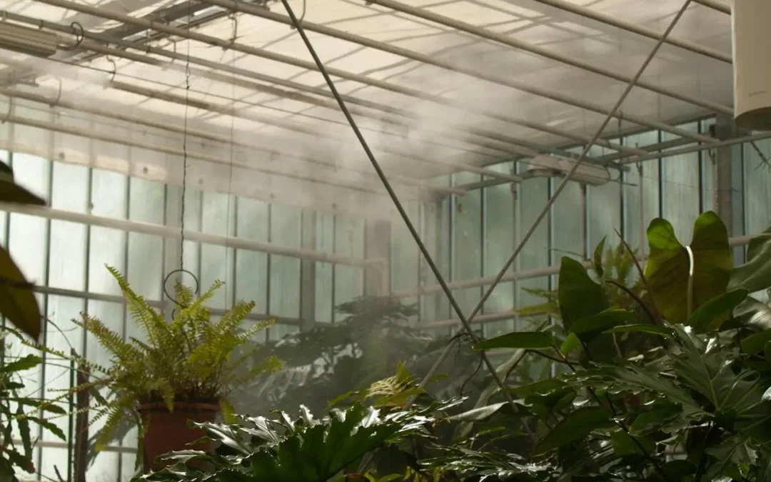 How Long Do Humidifiers Last? Lifespan by Type and Technology