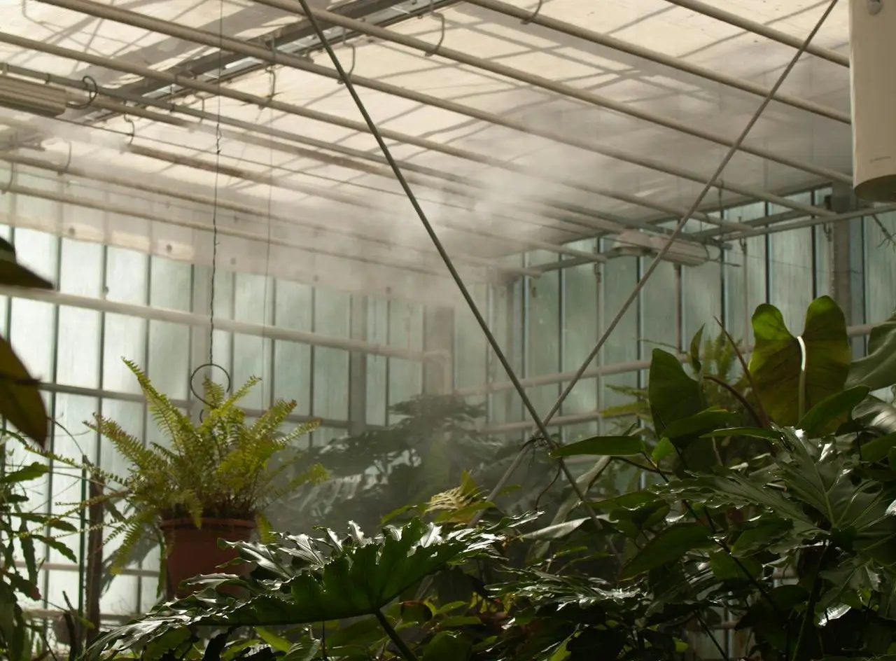 Greenhouse misting system above indoor plants.
