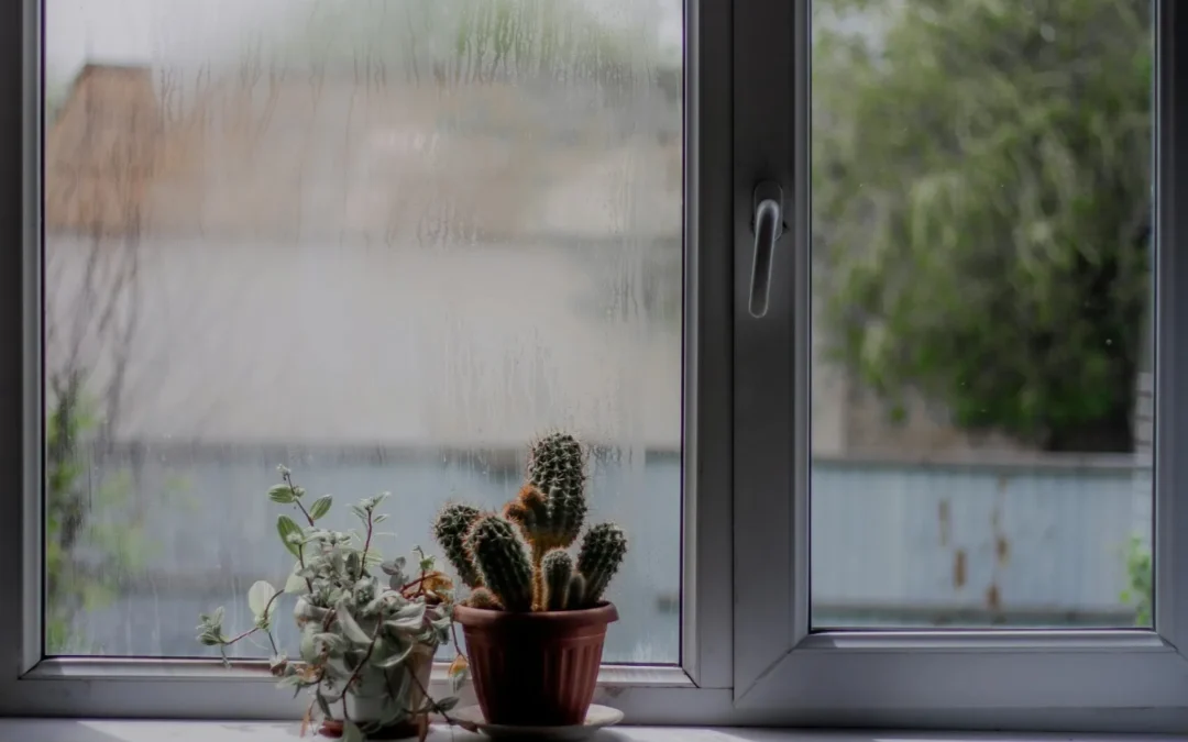 How to Lower Humidity in House: Methods That Actually Work 
