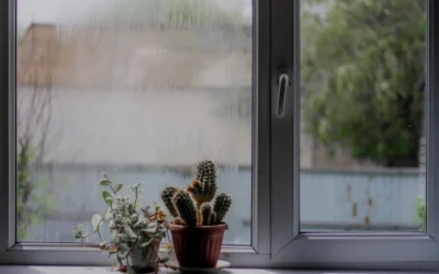How to Lower Humidity in House: Methods That Actually Work 