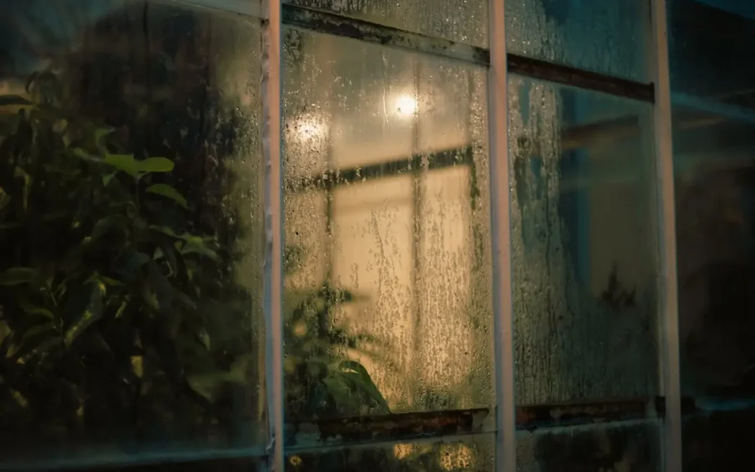 Dew Point vs Humidity: What’s the Difference and Why It Matters