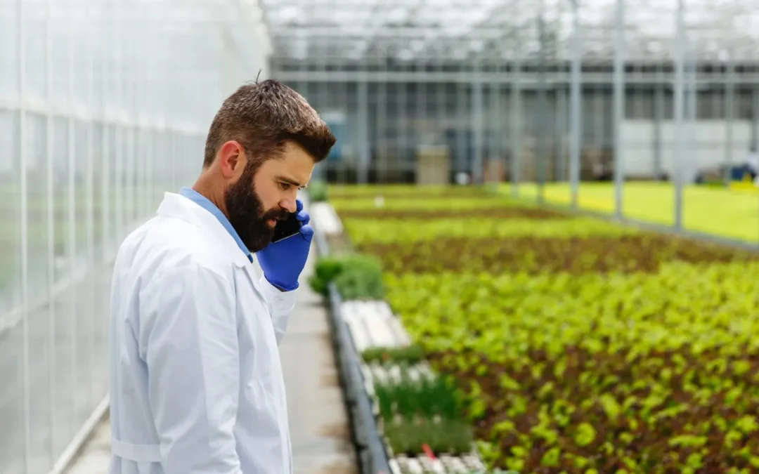 Greenhouse Humidity Control: Preventing Disease and Optimizing Growth