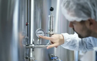 Humidity Control Systems: How They Work and Which One You Need