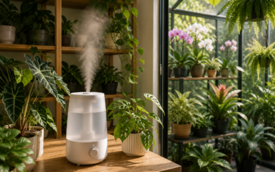 Plant Humidifier: How to Choose the Right One for Indoor Plants and Greenhouses