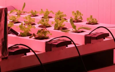 Humidity Chambers and Environmental Test Chambers Explained