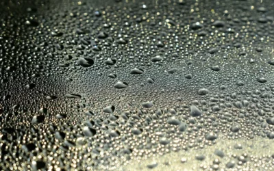 Relative Humidity Formula: How to Calculate It Step by Step