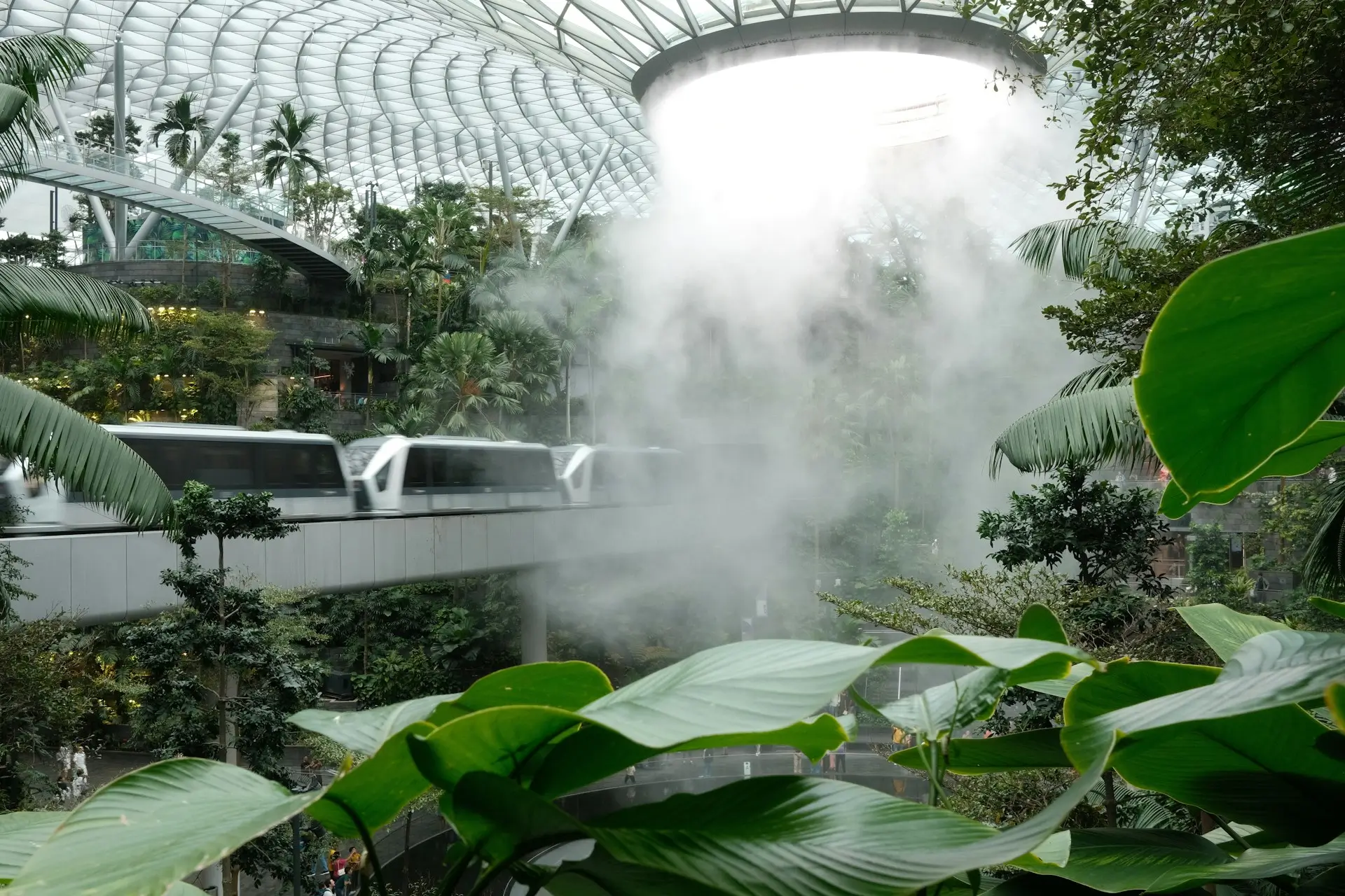 Insights Blog 9 Direct-space humidification system releasing dry fog in a large indoor plant facility