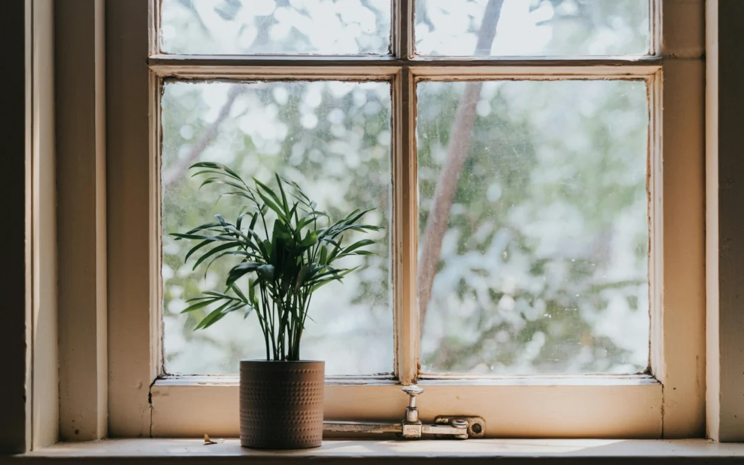 How to Increase Humidity in a Room With and Without a Humidifier