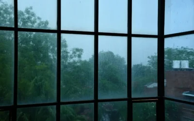 High Humidity in Your House: Causes, Symptoms, and Solutions