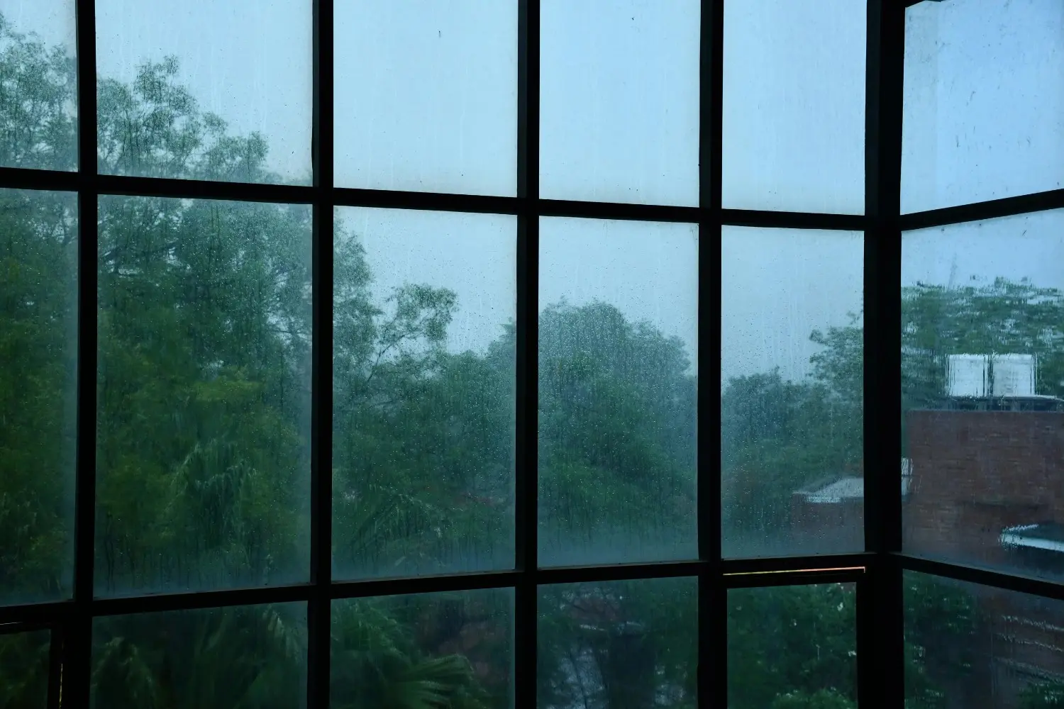Insights Blog 3 Rain-streaked home windows showing condensation and damp conditions linked to high indoor humidity.