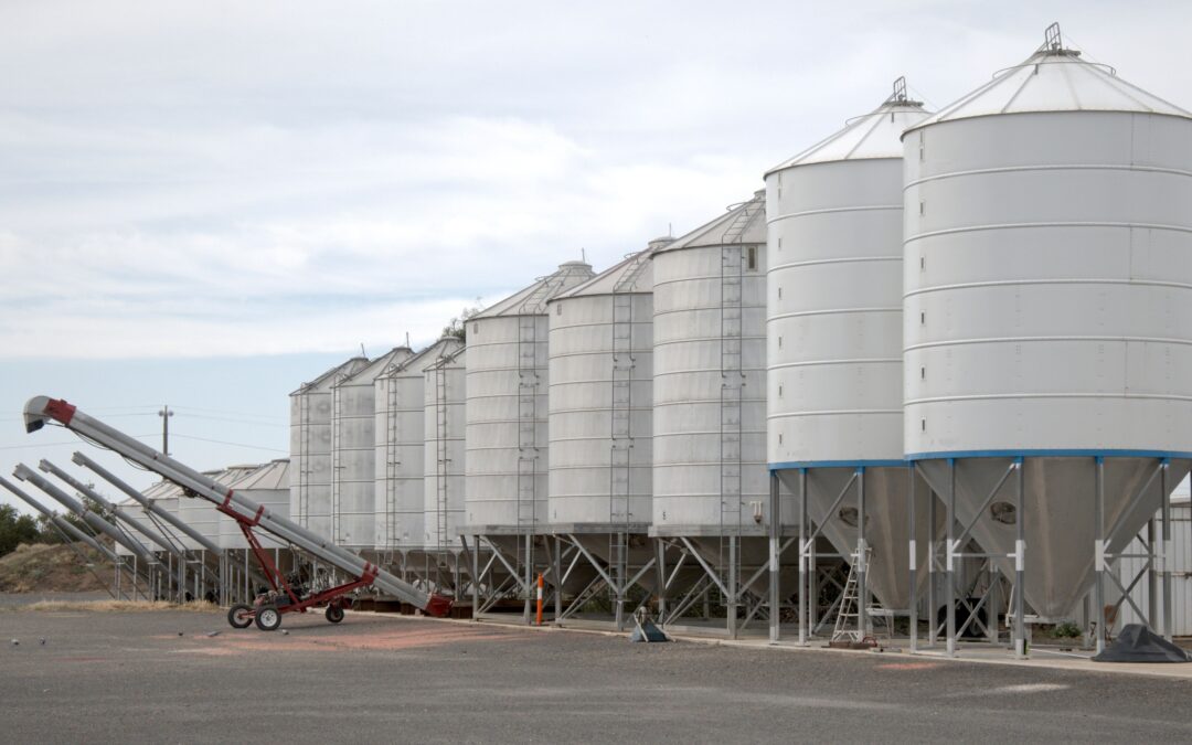 Fogging Systems for Grain Storage: Controlling Humidity for Oats, Wheat, and Cereals