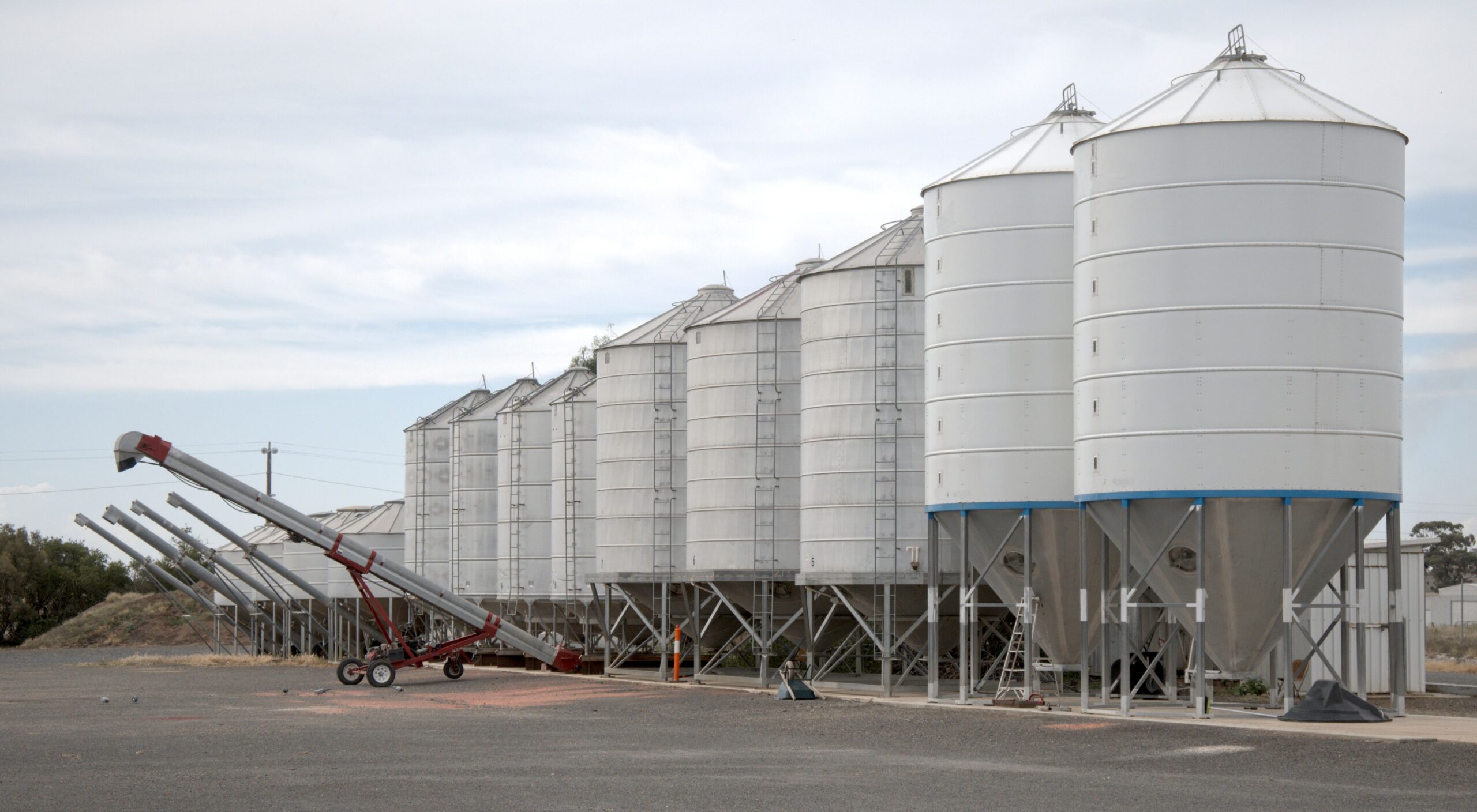 Insights Blog 4 Large grain storage silos and conveyor systems at an agricultural storage facility, illustrating bulk cereal and grain storage where precise humidity control helps preserve quality, prevent spoilage, and reduce commodity weight loss.