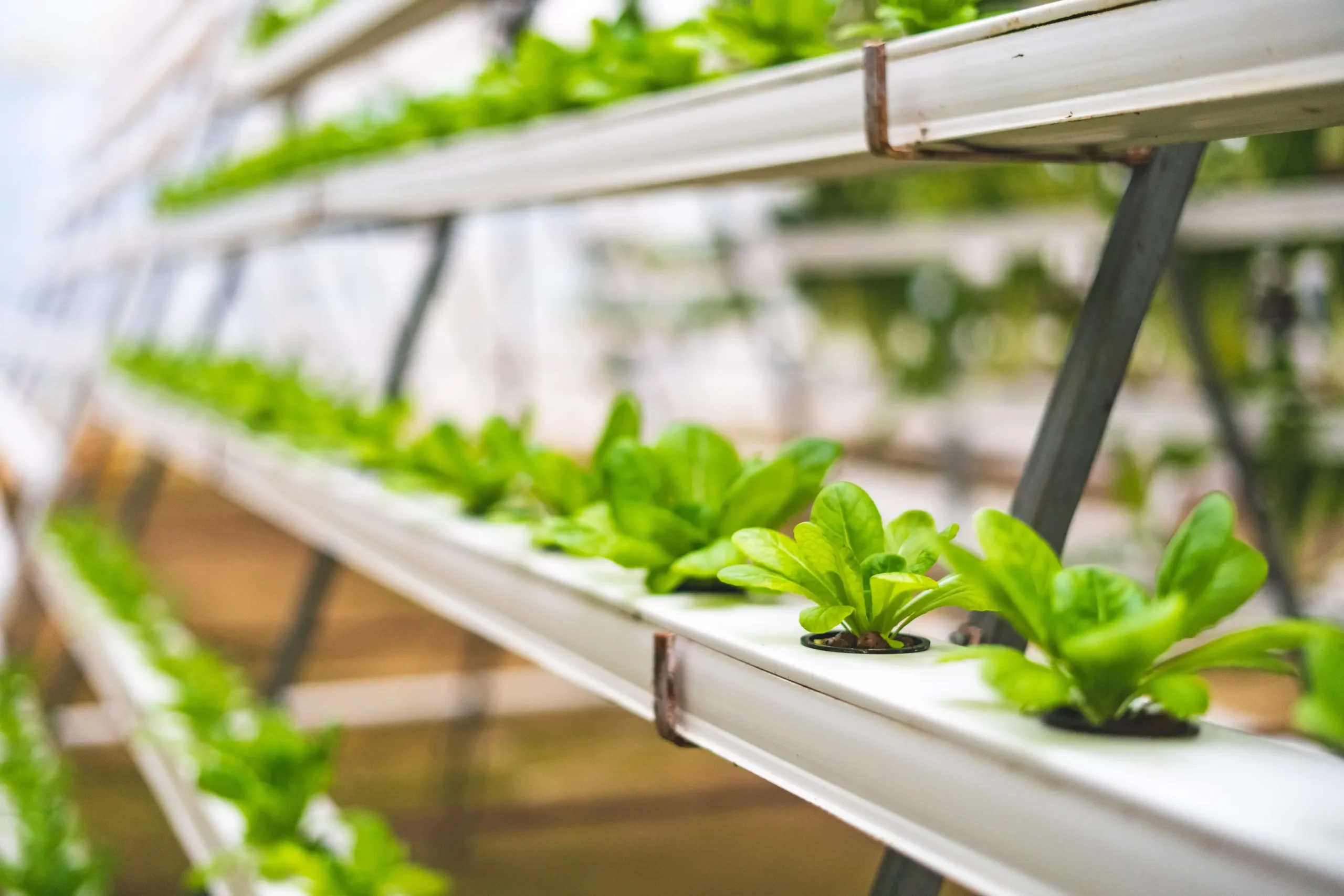 Insights Blog 9 Multi-level hydroponic vertical farming system growing leafy greens in stacked channels, illustrating controlled environment agriculture where precise humidity management supports crop growth and protects lighting and electronic equipment.