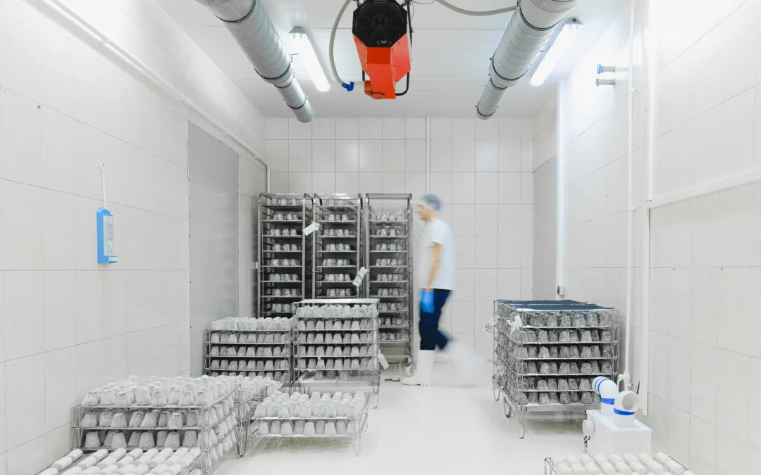 How to Avoid Common Humidification Costs