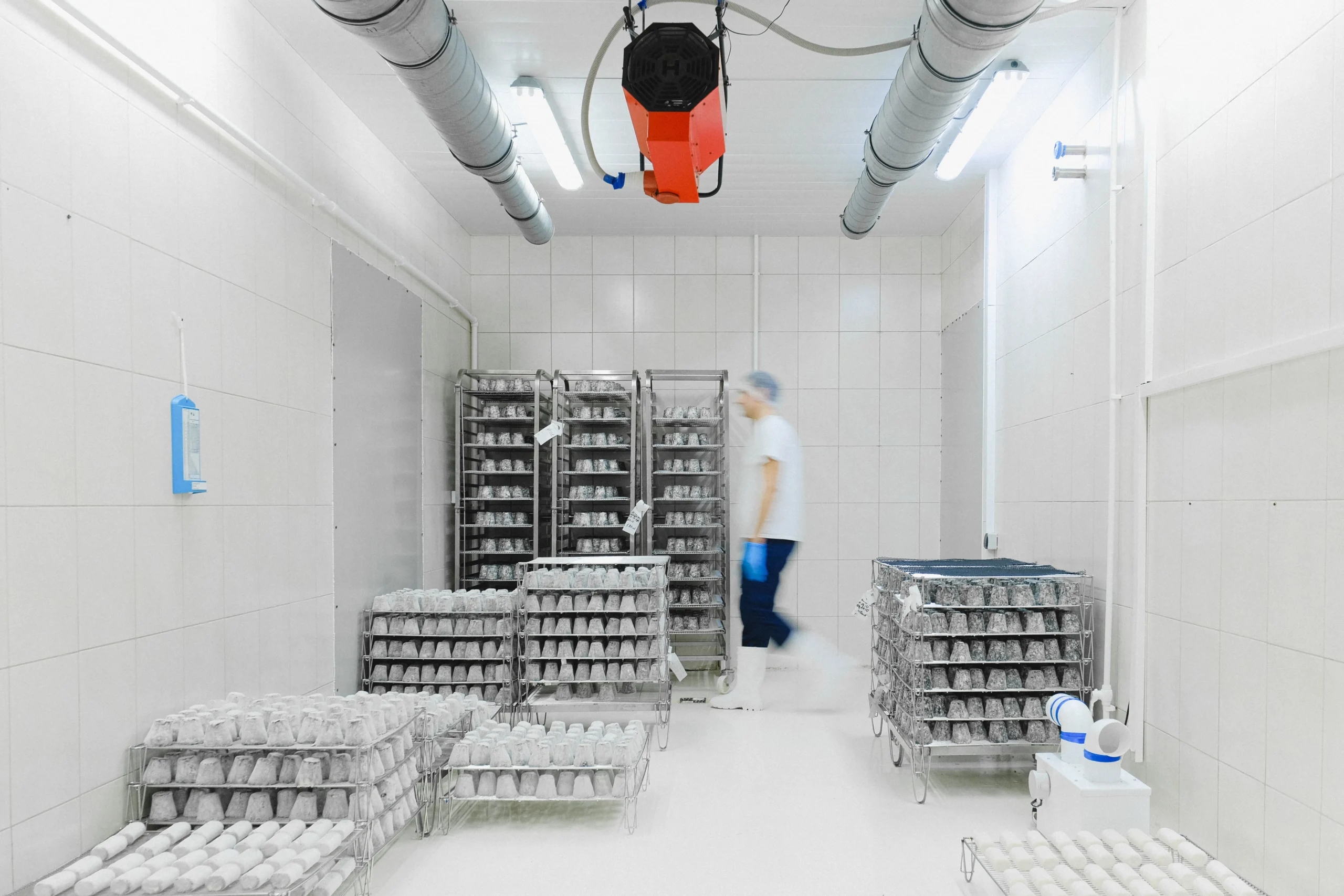 Insights Blog 8 Industrial food production room with overhead HVAC ductwork and humidity control equipment, illustrating a controlled environment where commercial humidification systems maintain stable conditions for manufacturing.