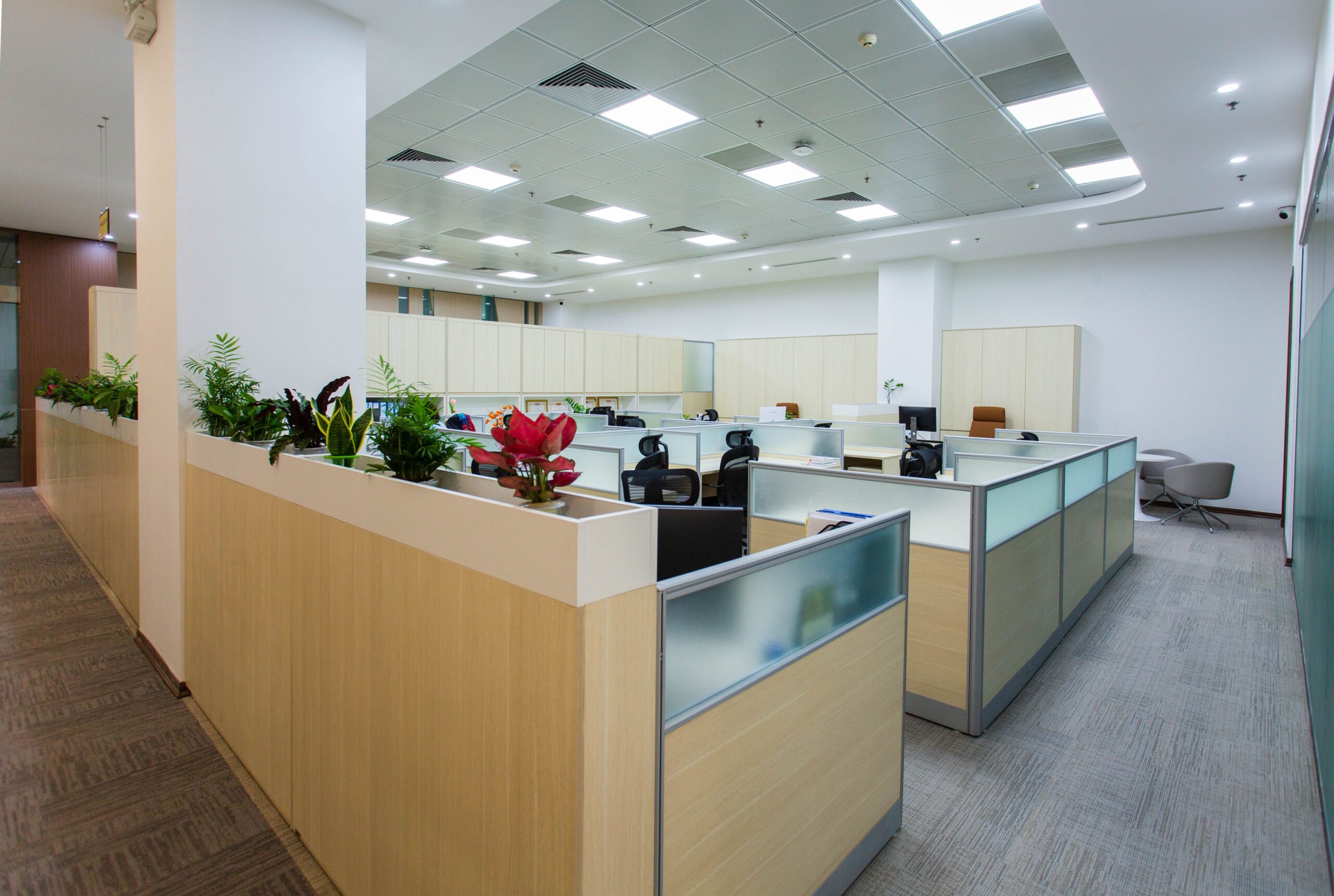 Home Page 1 Modern open-plan office space, representing the type of high-occupancy commercial environment where indoor air quality testing for CO2, humidity, and ventilation adequacy is most critical