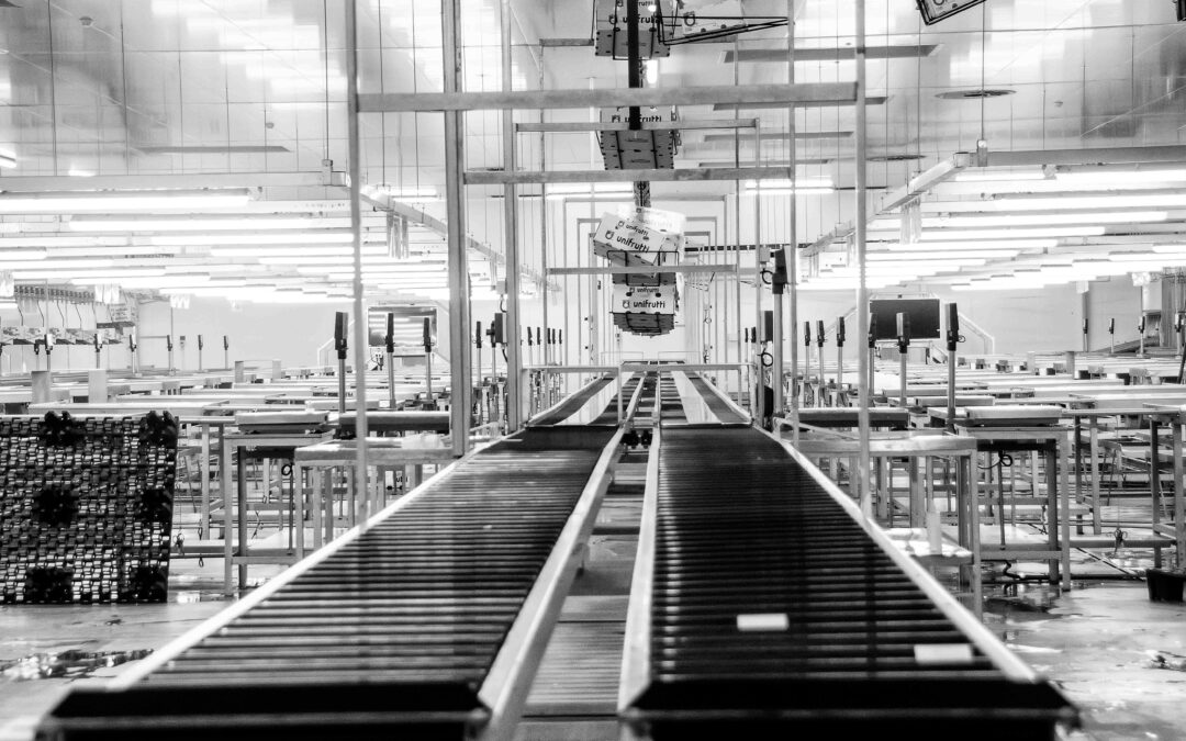 What Is Static Electricity? A Plain-Language Guide for Facility Managers