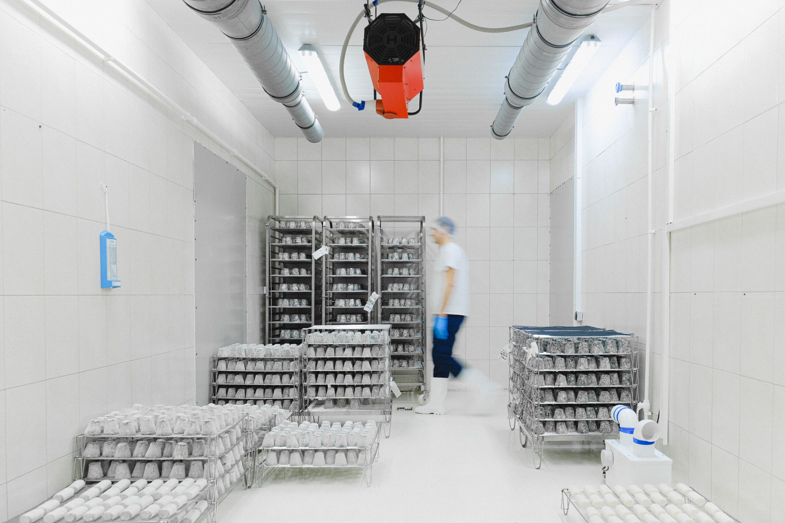 Home Page 5 Worker in a cold storage facility, representing the refrigerated warehouse environment where warm ambient air meeting cold surfaces creates persistent condensation at the dew point threshold